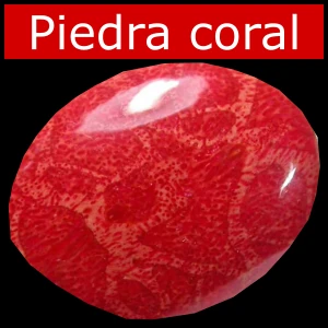 Piedra coral, colores, significado, propiedades y ¿Para qué sirve?