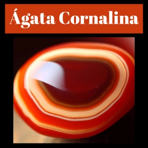 Ágata Cornalina, Significado, Propiedades ¿Para qué sirve?